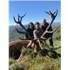 Image 3 : 5-day Spain Iberian Red Deer, Mouflon Sheep or European Roe Deer for one Hunter and One Non-hunter
