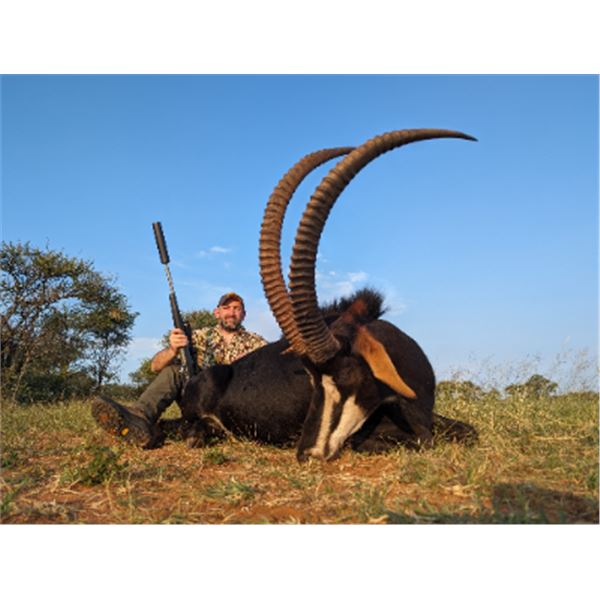 7-day South Africa Sable Hunt for Two Hunters and Two Non-hunters