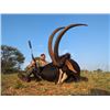 Image 1 : 7-day South Africa Sable Hunt for Two Hunters and Two Non-hunters