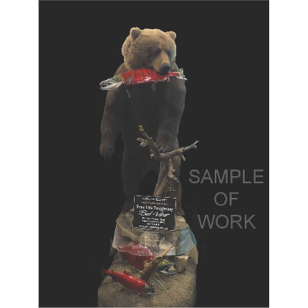 Trophy Brown Bear Taxidermy Mount