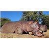 Image 1 : 7-day South Africa Impala, Warthog, Crocodile and Hippopotamus Hunt for Two Hunters