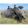 Image 1 : 7-day Argentina Water Buffalo and Wild Boar Hunt for Two Hunters