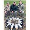 Image 2 : 7-day African McNab Hunt and Caracal with Hounds for Two Hunters
