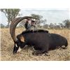 Image 1 : 7-day South Africa $6,000 in Trophy Fee Credit for One Hunter and One Non-hunter