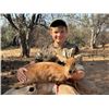 Image 2 : 7-day South Africa $6,000 in Trophy Fee Credit for One Hunter and One Non-hunter