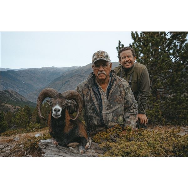 5-day Spain Pyrenean Chamois and Iberian Mouflon Hunt for One Hunter and One Non-hunter
