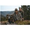 Image 1 : 5-day Spain Pyrenean Chamois and Iberian Mouflon Hunt for One Hunter and One Non-hunter