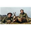 Image 2 : 5-day Spain Pyrenean Chamois and Iberian Mouflon Hunt for One Hunter and One Non-hunter