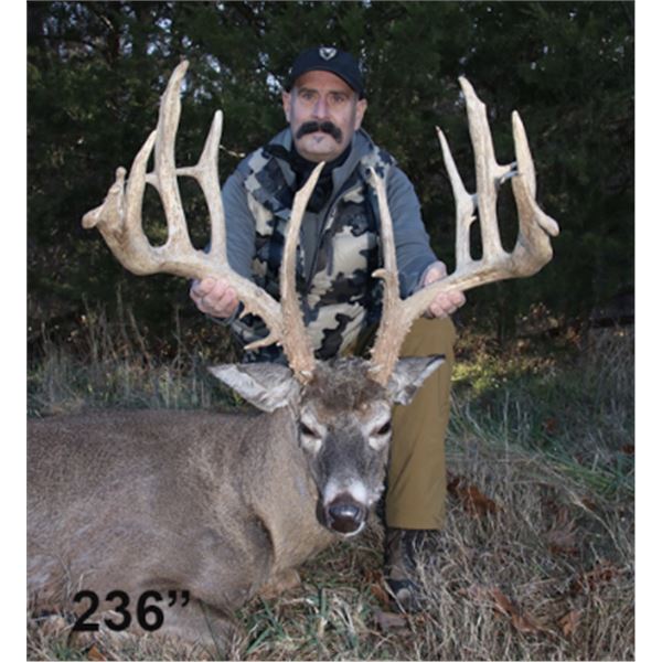 3-days/4-nights Missouri Midwestern White-tailed Deer Up To 180 SCI Hunt for Two Hunters and Two Non