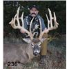 Image 1 : 3-days/4-nights Missouri Midwestern White-tailed Deer Up To 180 SCI Hunt for Two Hunters and Two Non
