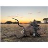 Image 1 : 10-day South African Plains Game Hunt for Two Hunters and Two Non-Hunters