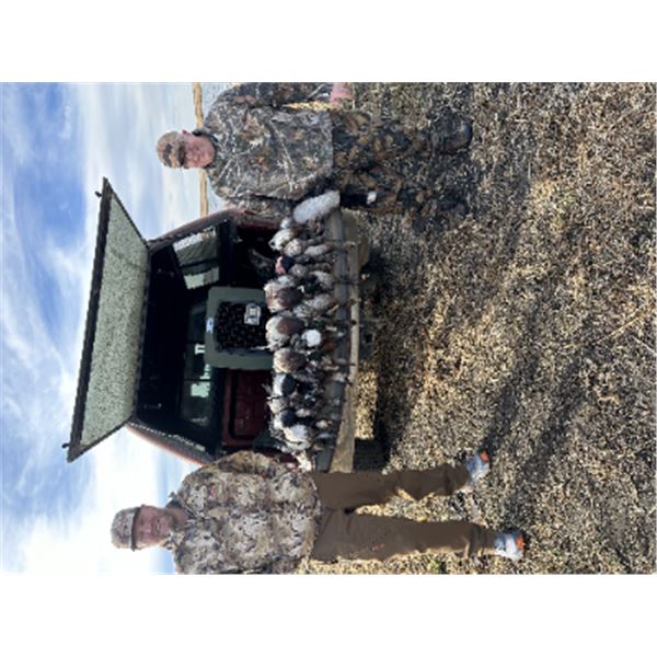 4-day North Dakota Waterfowl and Geese hunt for Six Hunters