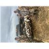 Image 2 : 4-day North Dakota Waterfowl and Geese hunt for Six Hunters