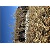 Image 3 : 4-day North Dakota Waterfowl and Geese hunt for Six Hunters