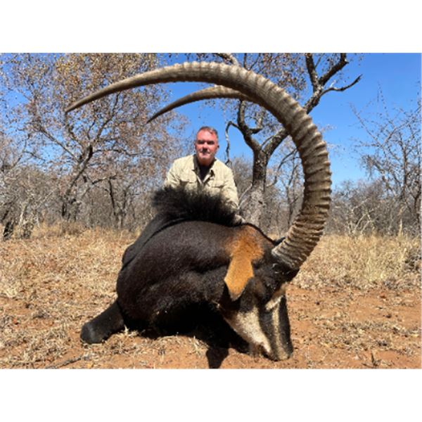 10-day South African Sable Hunt for One hunter and One Non-hunter