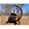 Image 1 : 10-day South African Sable Hunt for One hunter and One Non-hunter