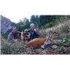 Image 2 : 7-day (with 5 days of hunting) Italy European Roe Deer and Wild Boar Hunt for Two Hunters and Two No
