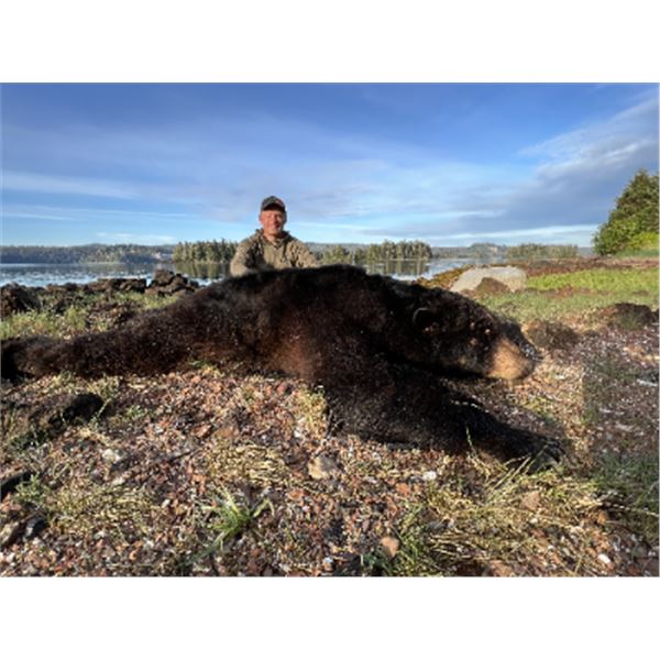 7-day Alaska Black Bear Hunt for One Hunter