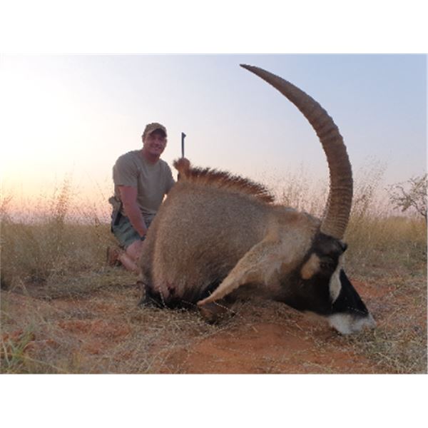 7-day South Africa Sable and Roan Hunt for Two Hunters