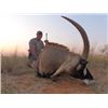 Image 1 : 7-day South Africa Sable and Roan Hunt for Two Hunters