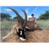 Image 2 : 7-day South Africa Sable and Roan Hunt for Two Hunters
