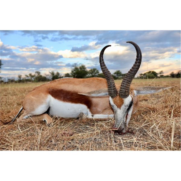 11-day Namibia Plains Game Hunt and Fishing on Zambezi River for Four (Two Hunters and Two Non-Hunte