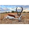 Image 1 : 11-day Namibia Plains Game Hunt and Fishing on Zambezi River for Four (Two Hunters and Two Non-Hunte
