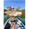 Image 4 : 11-day Namibia Plains Game Hunt and Fishing on Zambezi River for Four (Two Hunters and Two Non-Hunte