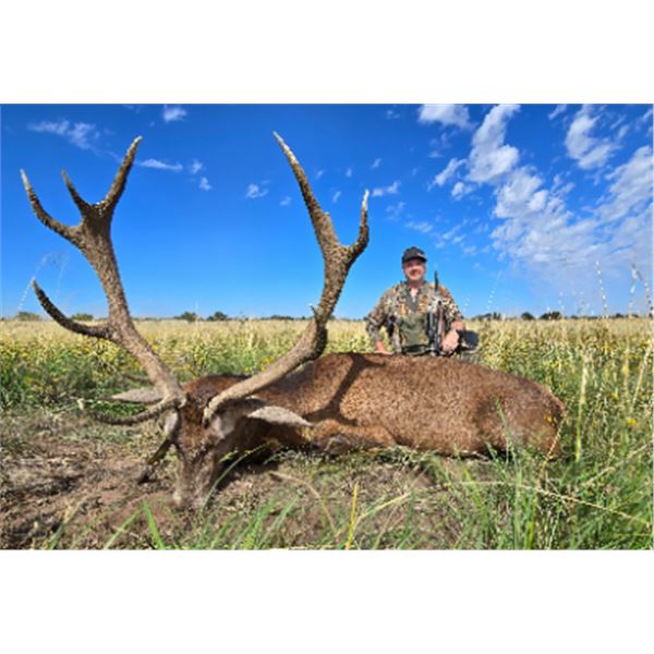 5-day Argentina Red Stag and Blackbuck for One Hunter and One Non-hunter