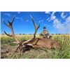 Image 1 : 5-day Argentina Red Stag and Blackbuck for One Hunter and One Non-hunter