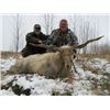 Image 2 : 6-night Serbia Racha Sheep and Roe Deer or Feral Goat Hunt for One hunter and One Non-hunter