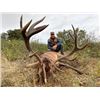 Image 1 : 7-day/8-night Spain Iberian Slam Hunt with VIP Bull Fight Experience for One Hunter and One Non-hunt