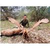 Image 2 : 7-day/8-night Spain Iberian Slam Hunt with VIP Bull Fight Experience for One Hunter and One Non-hunt