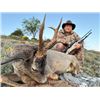 Image 3 : 7-day/8-night Spain Iberian Slam Hunt with VIP Bull Fight Experience for One Hunter and One Non-hunt