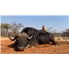 Image 2 : 7-night/6-day South Africa Cape Buffalo Hunt for Two Hunters