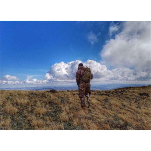 3-day Utah Rocky Mountain Cow Elk Hunt for Two Hunters