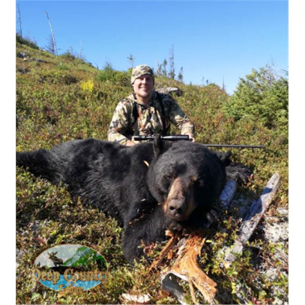 5-day Newfoundland Black Bear Hunt for One Hunter