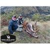 Image 1 : 5-day New Zealand Wallaby and Fallow Deer Hunt for Two Hunters