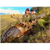 Image 2 : 5-day New Zealand Wallaby and Fallow Deer Hunt for Two Hunters