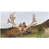 Image 3 : 5-day New Zealand Wallaby and Fallow Deer Hunt for Two Hunters