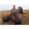 Image 4 : 5-day New Zealand Wallaby and Fallow Deer Hunt for Two Hunters