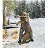Image 1 : 5-day Utah Mountain Lion hunt for One Hunter