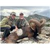 Image 2 : 5-day Spain Iberian Mouflon (up to 105 SCI) Hunt for Two Hunters
