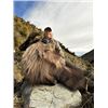 Image 1 : 5-day New Zealand Tahr Hunt for One Hunter and One Non-Hunter