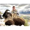 Image 2 : 5-day New Zealand Tahr Hunt for One Hunter and One Non-Hunter