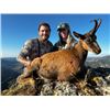 Image 2 : 5-day Spain Best Available Cantabrian Chamois Hunt for One Hunter and One Non-Hunter