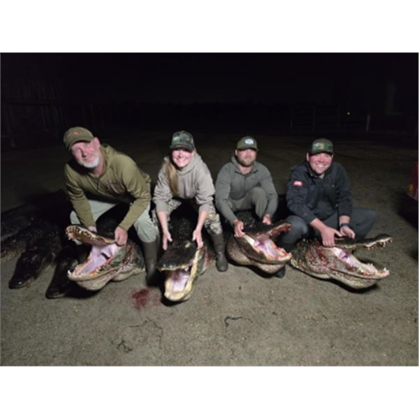 1-night Florida Alligator hunt for Two Hunters