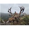 Image 1 : 5-day New Zealand Red Deer Up To 400 SCI Hunt for One Hunter and One Non-Hunter