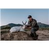Image 1 : 7-day South Africa Plains Game Safari for Two Hunters