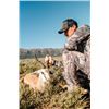 Image 2 : 7-day South Africa Plains Game Safari for Two Hunters
